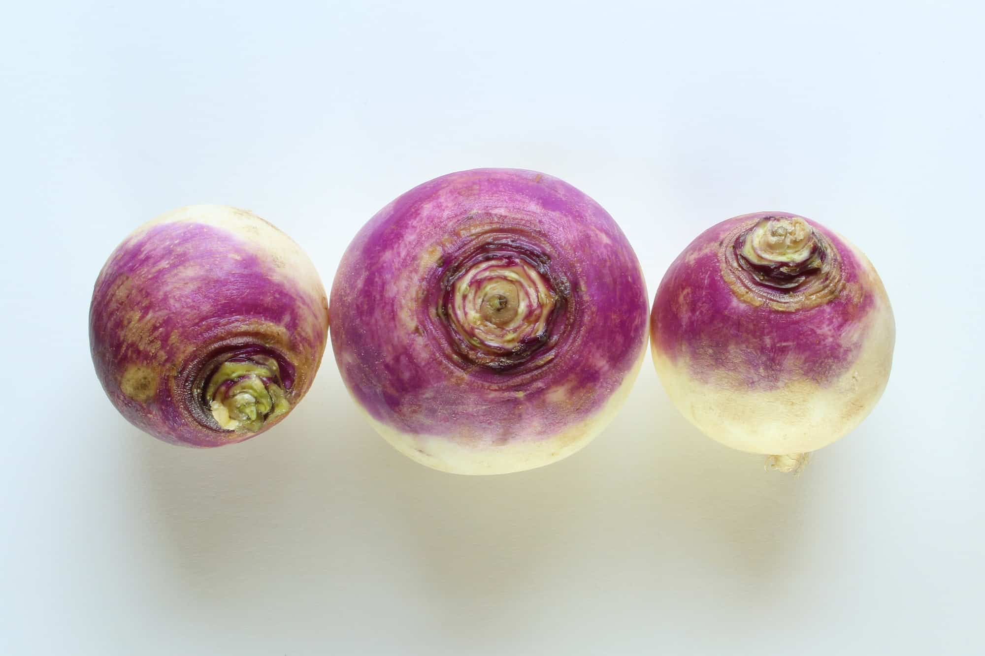 Turnip still life